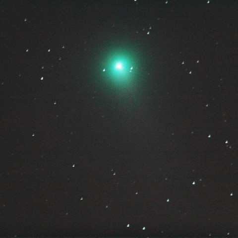 ラブジョイ彗星