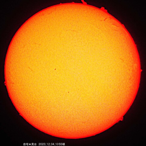 ★高度プロミネンス発達中★