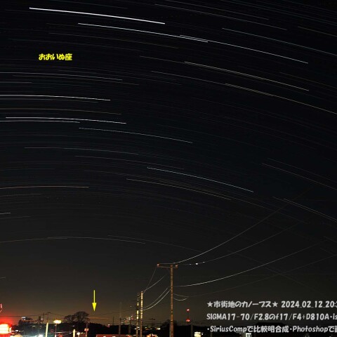 ★市街地のカノープス★