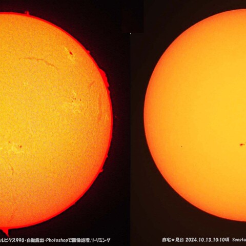 ★久し振りの太陽★