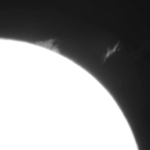 ★天馬飛び立つ★