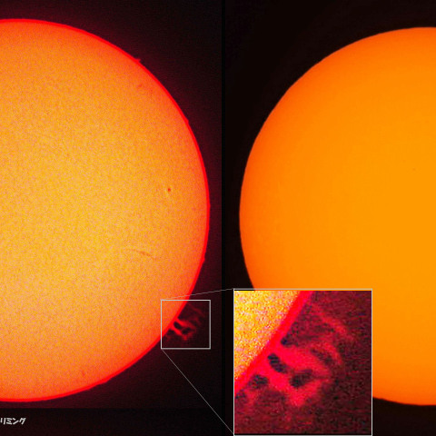 ★本日の太陽★