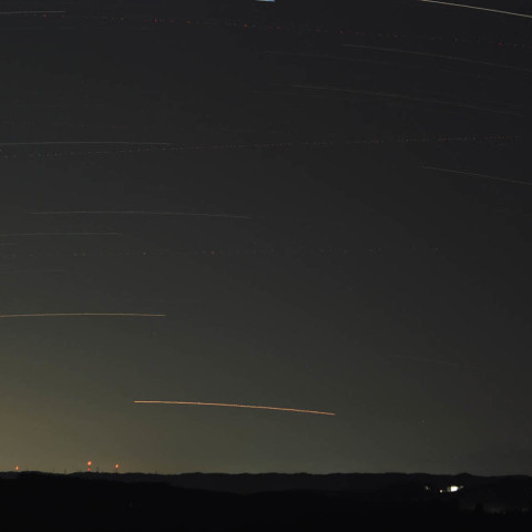 ★カノープス見参！★