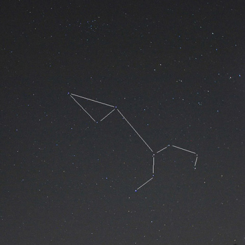 ★獅子の去る頃★