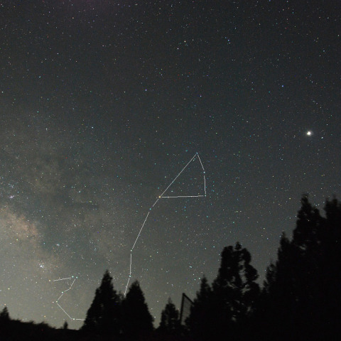 ★サソリ南中★