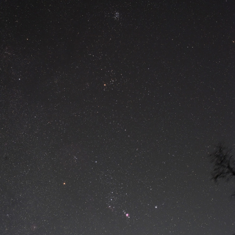 ★冬の星座昇る★