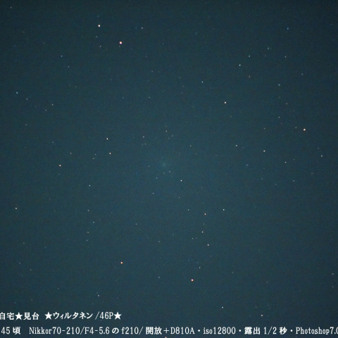 ★ウィルタネン/46P短時間露出★