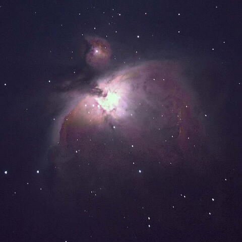★M42★
