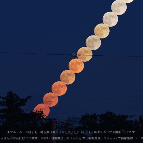 ★ブルームーン団子★
