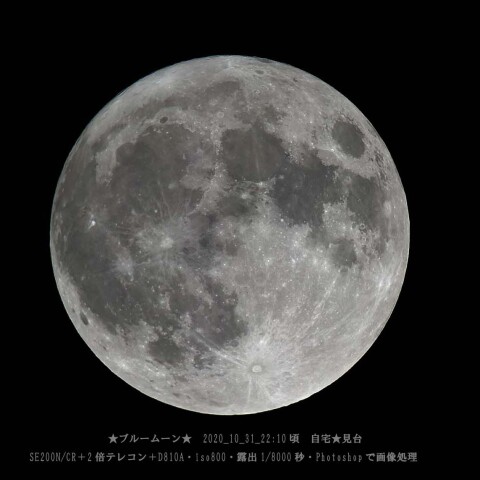 ★ブルームーン★