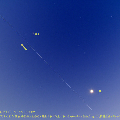 ★早目の出現★