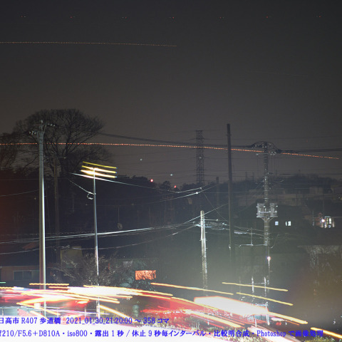 ★市街地のカノープス★