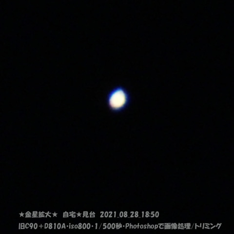 ★金星拡大★