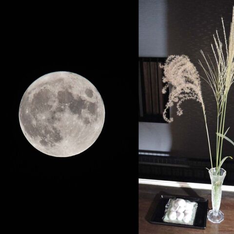 ★何とか見れた中秋の名月★