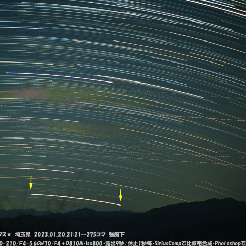 ★強風下のカノープス★