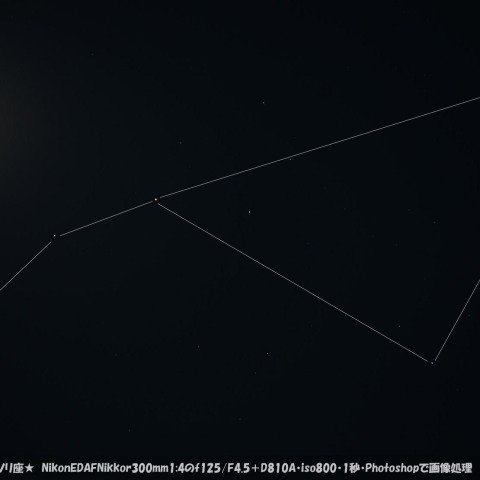 ★月とサソリ座★