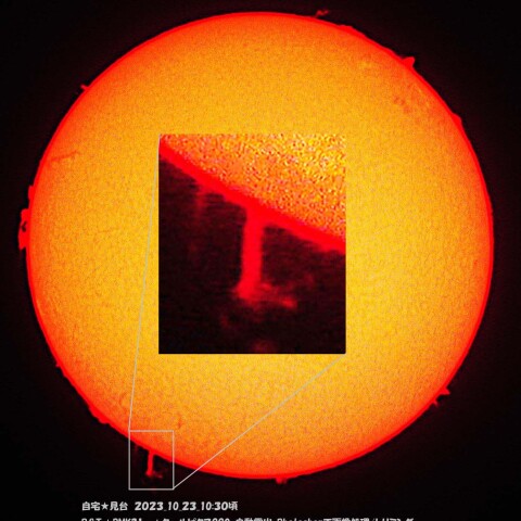 ★目立つサージ★