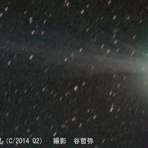 ラブジョイ彗星　C/2014Q2