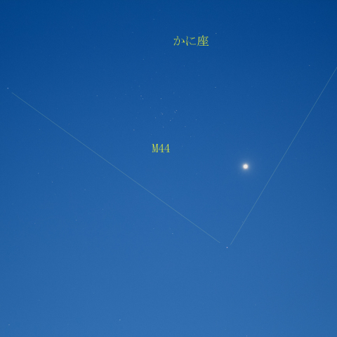 金星とプレセペ星団が大接近