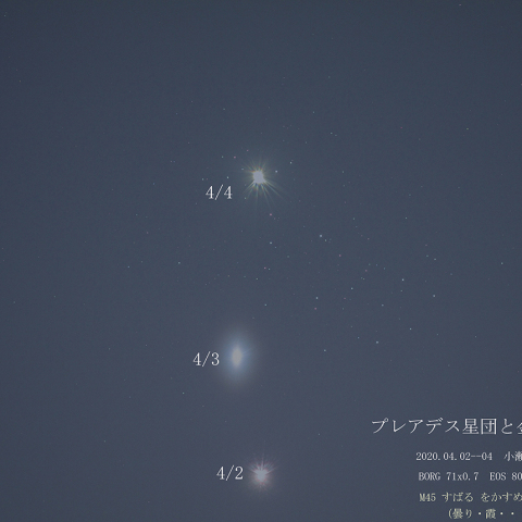 金星とプレアデス星団の接近