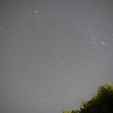 2022年 オリオン座流星群