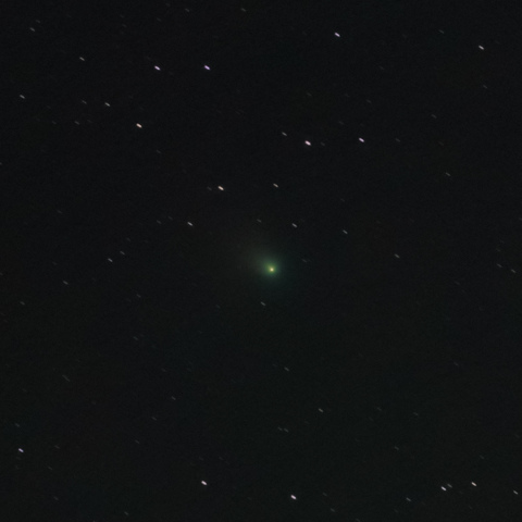 1/13東京 C/2022 E3 ZTF彗星