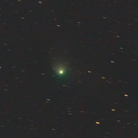 1/29東京 C/2022 E3 ZTF彗星