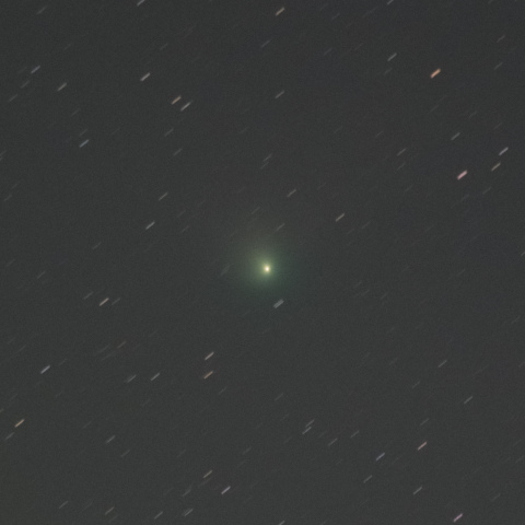 2/1東京 C/2022 E3 ZTF彗星