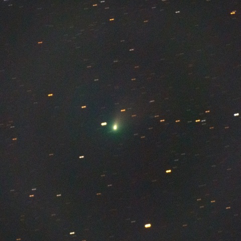 2/9 C/2022 E3 ZTF彗星