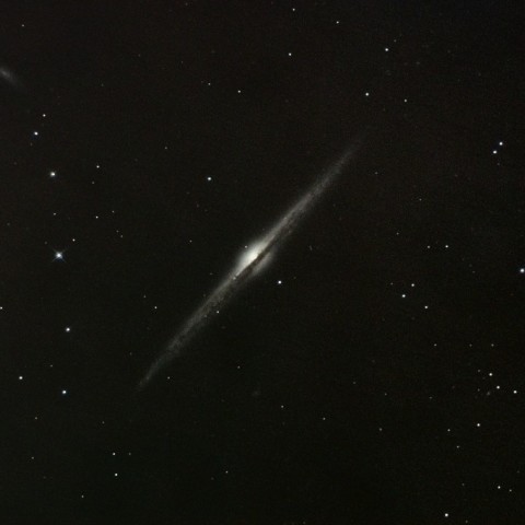 NGC4565