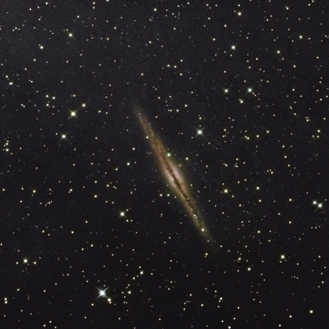 NGC891