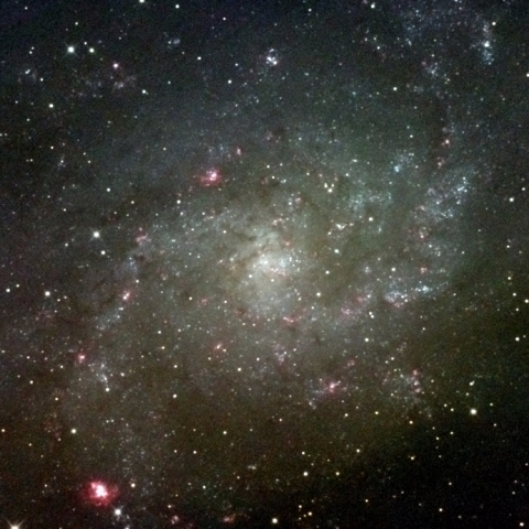 M33