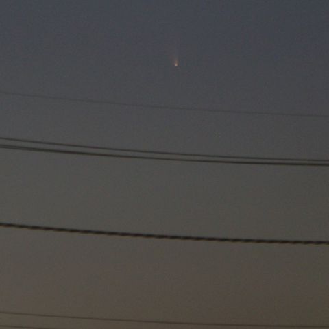 やっと撮れたパンスターズ彗星