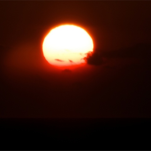 沼津での部分帯食