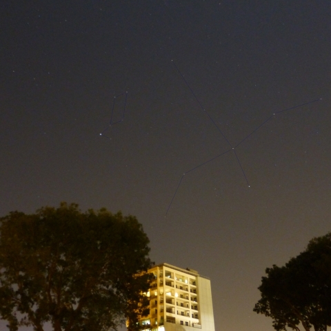 地平線に尻もちをついたような白鳥座
