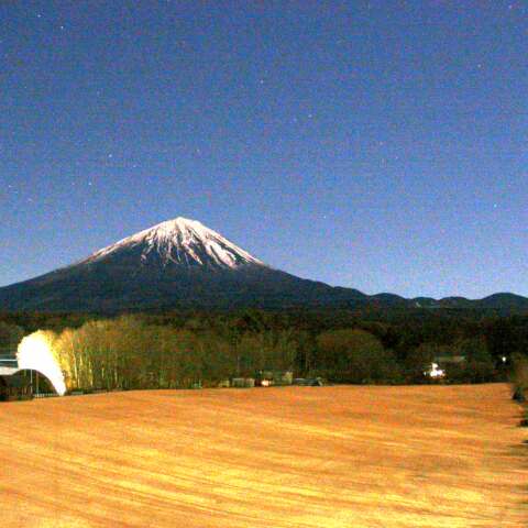 こぐま座流星群？