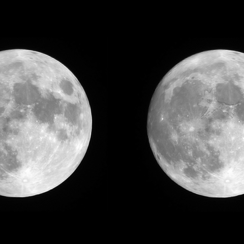 月を駆ける小犬