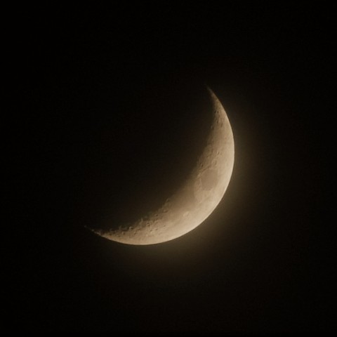 梅雨空のおぼろ月