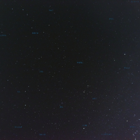 ナノトラッカーとアクションカメラによる冬の夜半の星座