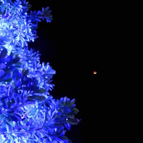 皆既月食とイルミネーション