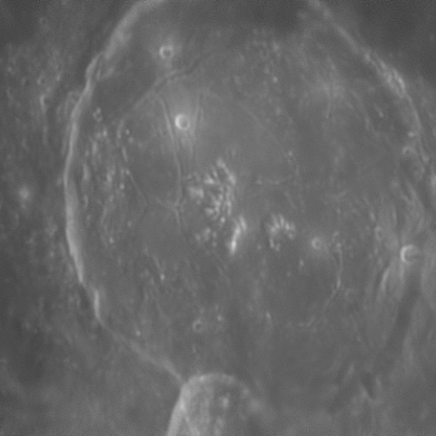 ガッサンディ　クレーター