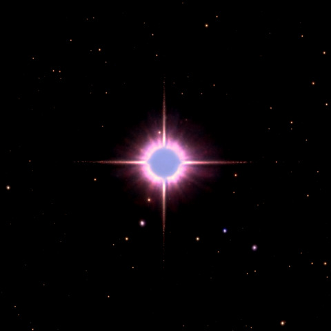 5月の赤いシリウス