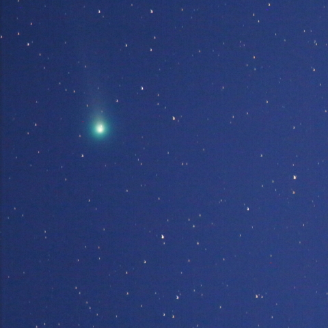 ラブジョイ彗星