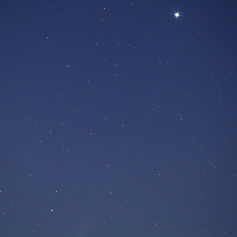 スピカとアイソン彗星