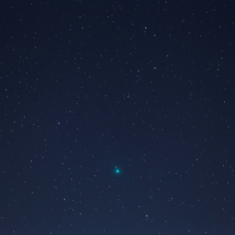 ラブジョイ彗星