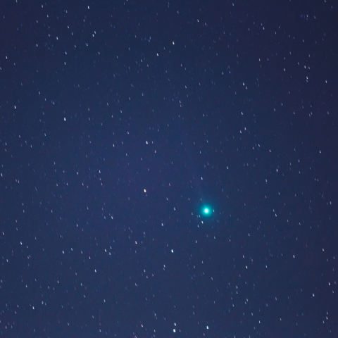 ラブジョイ彗星