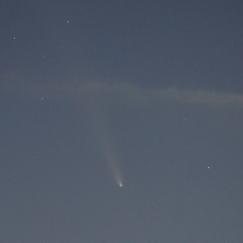 紫金山・アトラス彗星（千葉）