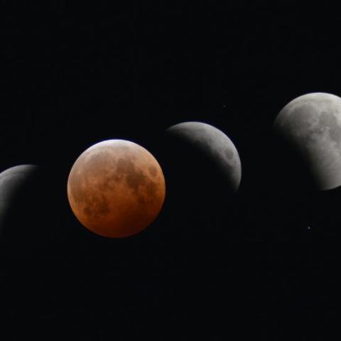 皆既月食in千葉