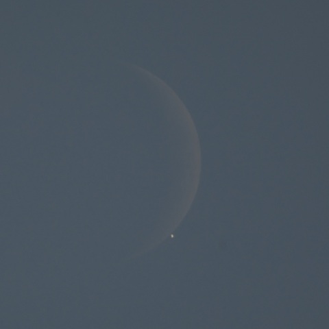 金星食(千葉)