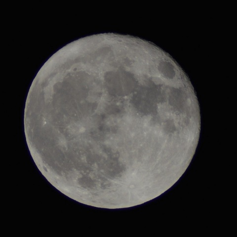 最大満月（千葉）